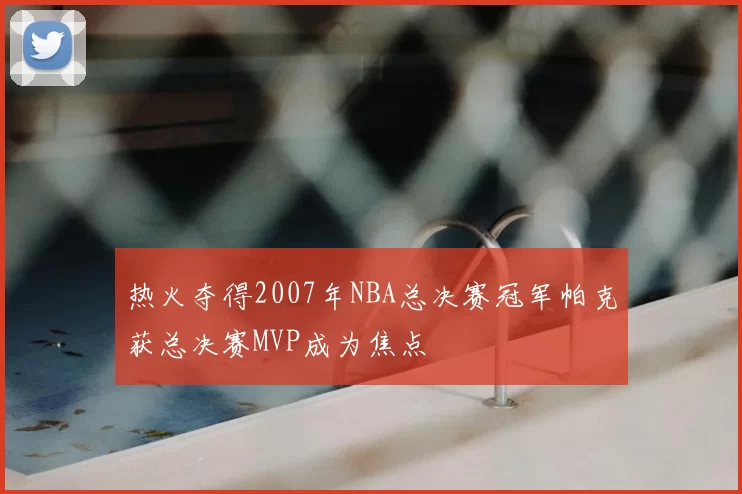 热火夺得2007年NBA总决赛冠军帕克获总决赛MVP成为焦点